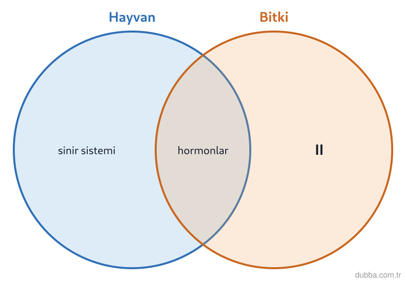 Biyoloji — Tepki ünitesi: Tepki mekanizmalarına ait bazı özellikler çizimdeki iki kümede toplanmıştır. Yalnız bitki kümes