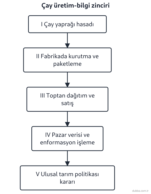 Coğrafya — Ekonomik Faaliyetler ve Etkileri ünitesi: Rize’de üretilen çayın tarladan ulusal tarım politikasına uzanan süreci aşağıdaki akış şemasınd