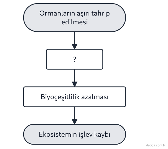 Biyoloji — Ekoloji ünitesi: Aşağıdaki şemada ormansızlaşmanın ekosisteme yansımaları adım adım gösterilmektedir. Şemadaki I